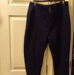 NWOT Terra & Sky Women's Plus Size Pull On Jegging Jean